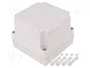 FIBOX MNX Carcasa Universal de Policarbonato Gris