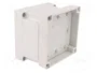 FIBOX MNX Carcasa Universal de Policarbonato Gris
