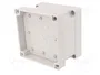 FIBOX MNX Carcasa Universal de Policarbonato Gris