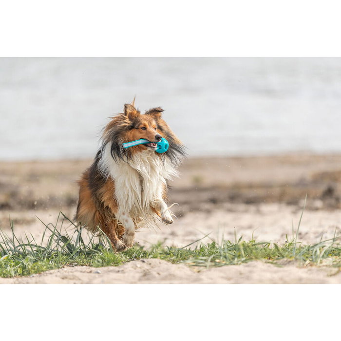 Pelota para Mascotas Trixie Turquesa TPE Bola ø 6 x 23 cm Pelota para Mascotas Trixie Turquesa TPE Bola ø 6 x 23 cm