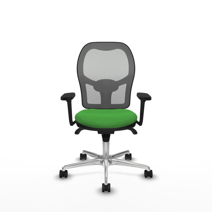 PIQUERAS Y CRESPO Silla de oficina Jorquera con mecanismo Sincro, Tela Verde y Malla Gris