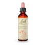 Bach Rock Rose (Heliantemo) 20 ml