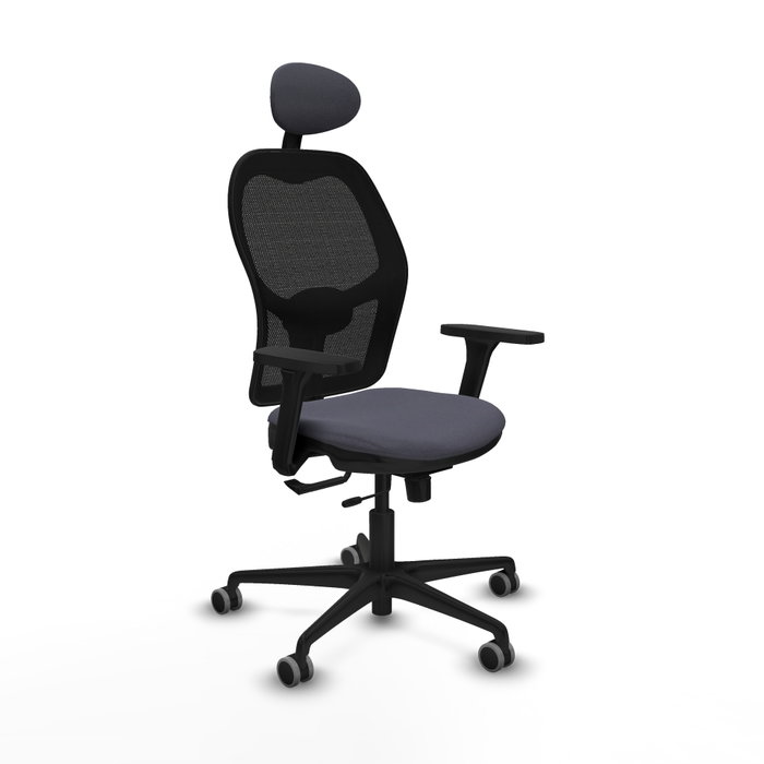 PIQUERAS Y CRESPO Silla de oficina Jorquera con mecanismo Sincro/Traslack, Gris oscuro y Negro PIQUERAS Y CRESPO Silla de oficina Jorquera con mecanismo Sincro/Traslack, Gris oscuro y Negro