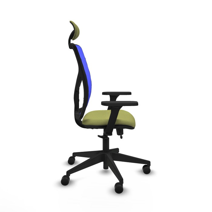 PIQUERAS Y CRESPO Silla de oficina Motilla con mecanismo Sincro/Traslack Verde oliva y Azul PIQUERAS Y CRESPO Silla de oficina Motilla con mecanismo Sincro/Traslack Verde oliva y Azul