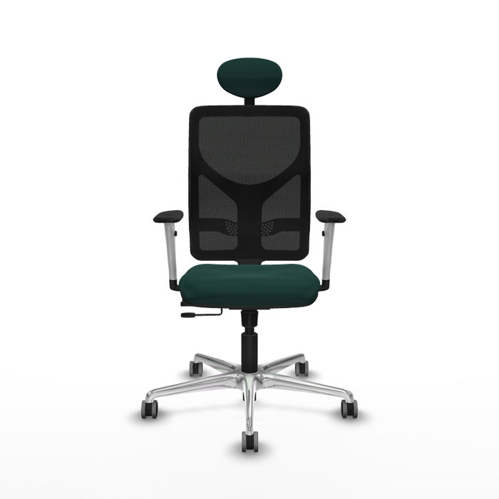 PIQUERAS Y CRESPO Silla de oficina Motilla con mecanismo Sincro/Traslack Verde botella PIQUERAS Y CRESPO Silla de oficina Motilla con mecanismo Sincro/Traslack Verde botella