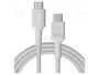 Green Cell Cable USB-C PowerStream 100W 2m Blanco