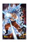 Sd toys Póster 3D Universal Survival Goku 58x38 cm Dragon Ball Super PVC Oficial
