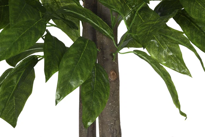 DKD Home Decor Árbol de Madera y Poliéster Mango Verde 90x90x180 cm
