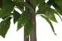 DKD Home Decor Árbol de Madera y Poliéster Mango Verde 90x90x180 cm
