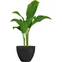Garden Id Maceta Green Care Impact Black-Anth 40 x 31 cm 02042169 Garantía 10 años Reciclado Resistente UV Gel