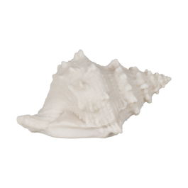 Lámpara Mesa Concha Arenisca 18 X 11,80 X 11 cm (Set de 2)