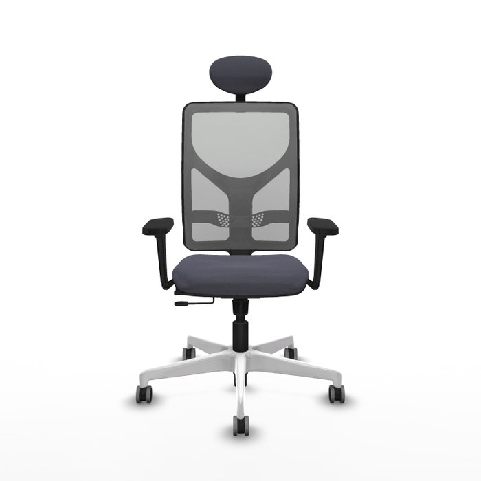 PIQUERAS Y CRESPO Silla de oficina Motilla con mecanismo Sincro/Traslack, Brazos 3D y Cabecero Fijo PIQUERAS Y CRESPO Silla de oficina Motilla con mecanismo Sincro/Traslack, Brazos 3D y Cabecero Fijo