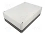 SPELSBERG TK PC Carcasa Universal Gris IP66