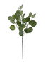 Oplante Vara de Eucalipto Silver Dolar Verde Plástico Artificial para Decoración Hogar u Oficina, Alto 63cm, Ancho 33cm, Ligera