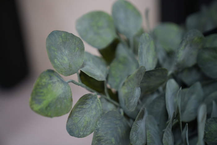 Oplante Vara de Eucalipto Silver Dolar Verde Plástico Artificial para Decoración Hogar u Oficina, Alto 63cm, Ancho 33cm, Ligera Oplante Vara de Eucalipto Silver Dolar Verde Plástico Artificial para Decoración Hogar u Oficina, Alto 63cm, Ancho 33cm, Ligera