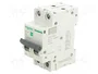 SCHNEIDER ELECTRIC Interruptor magnetotérmico Easy9 Pro 2 polos 25A 6kA