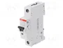 ABB Interruptor magnetotérmico SZ200 1P 40A Curva B