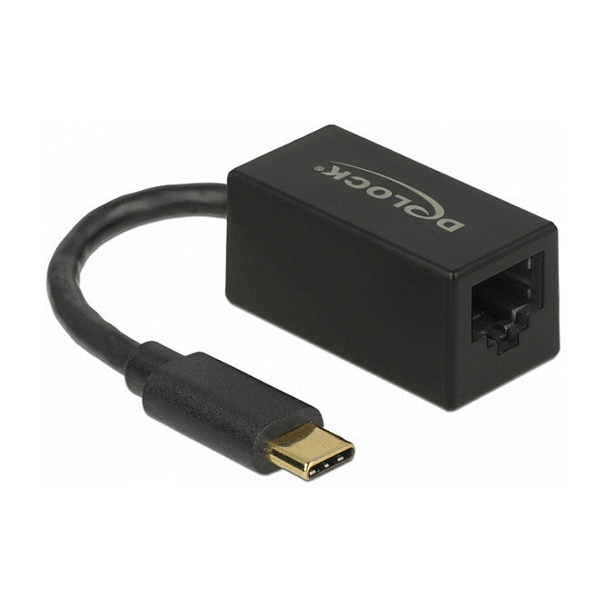 DeLOCK Adaptador USB Type-C a Gigabit LAN Compacto Negro DeLOCK Adaptador USB Type-C a Gigabit LAN Compacto Negro