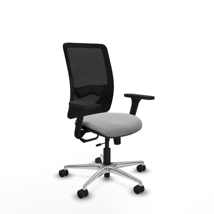 PIQUERAS Y CRESPO Silla de oficina Zulema con mecanismo Sincro/Traslack, Gris claro y Negro PIQUERAS Y CRESPO Silla de oficina Zulema con mecanismo Sincro/Traslack, Gris claro y Negro