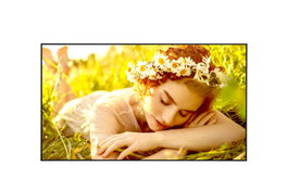 LG 65UL5Q-M Pantalla de Señalización Digital 65 pulg. 4K Ultra HD LED