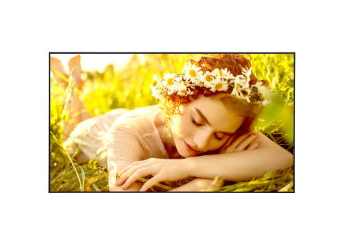 LG 65UL5Q-M Pantalla de Señalización Digital 65 pulg. 4K Ultra HD LED LG 65UL5Q-M Pantalla de Señalización Digital 65 pulg. 4K Ultra HD LED