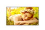 LG 65UL5Q-M Pantalla de Señalización Digital 65 pulg. 4K Ultra HD LED