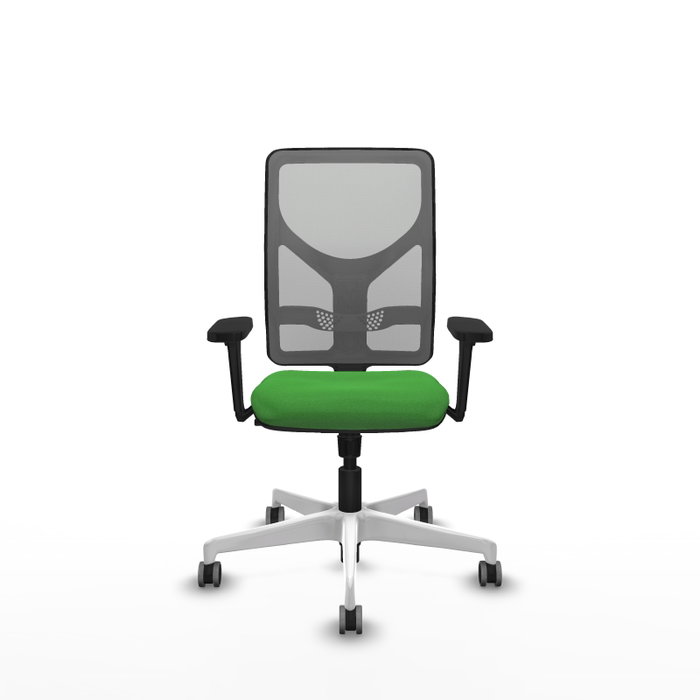 PIQUERAS Y CRESPO Silla de oficina Motilla con mecanismo Sincro, Verde y Gris PIQUERAS Y CRESPO Silla de oficina Motilla con mecanismo Sincro, Verde y Gris