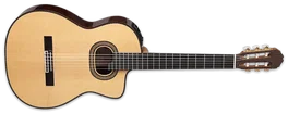 Takamine DH90 E/A Classic Hirade Cutaway - Natural