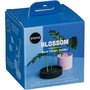 Ototo Blossom Flower Holder rosa / verde