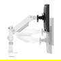 Neomounts DS65S-950WH2 Brazo de Monitor 24-34" Multi Ajustable 11kg Blanco