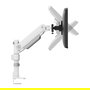 Neomounts DS65S-950WH2 Brazo de Monitor 24-34" Multi Ajustable 11kg Blanco