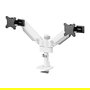 Neomounts DS65S-950WH2 Brazo de Monitor 24-34" Multi Ajustable 11kg Blanco
