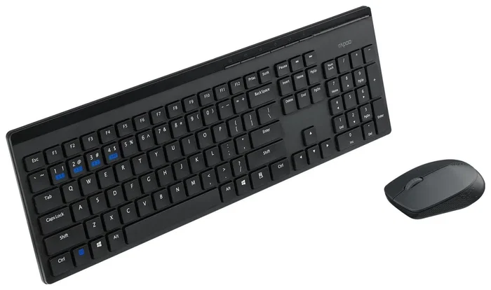 Rapoo 8110M Kit teclado y ratón inalámbrico multi-modo negro layout polaco