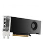 NVIDIA Quadro RTX 2000 Ada 16GB GDDR6