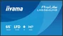 Iiyama ProLite LH6564UHS-B1AG 65 pulg. 4K UHD Android 14