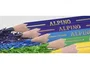 Alpino Estuche de 18 Lápices de Colores Largos Surtidos