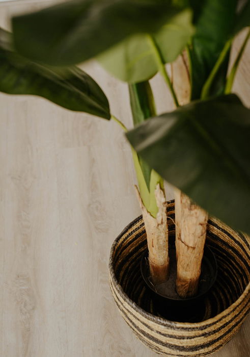 Oplante Planta Artificial Bananera 180 cm Verde Tela