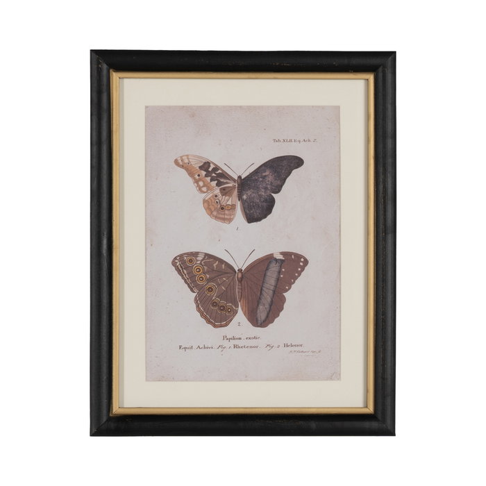 Cuadro Impresión Mariposas 4/M 31 X 1,80 X 39 cm (Set de 4)