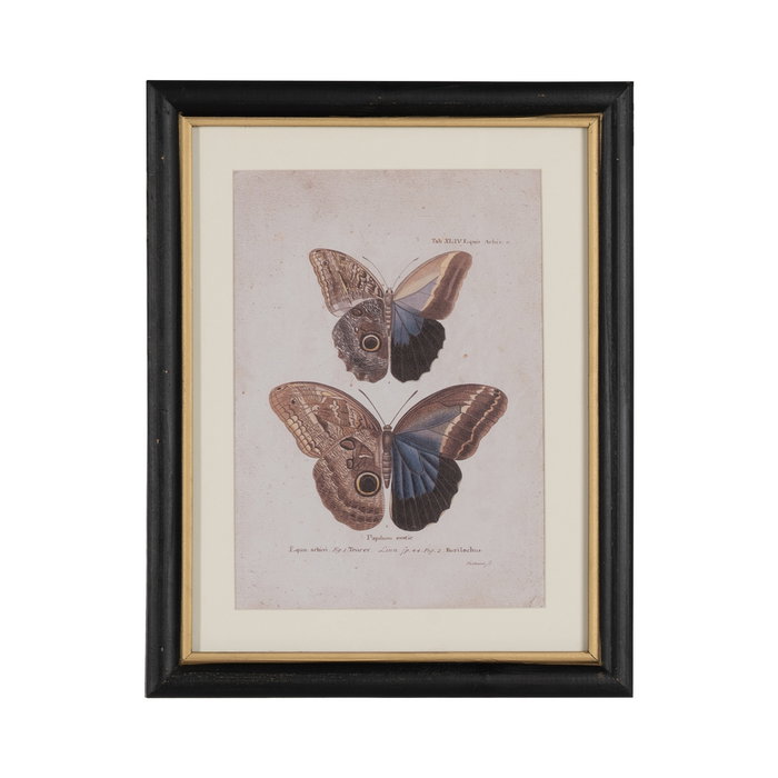Cuadro Impresión Mariposas 4/M 31 X 1,80 X 39 cm (Set de 4)