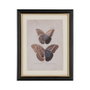Cuadro Impresión Mariposas 4/M 31 X 1,80 X 39 cm (Set de 4)