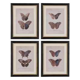 Cuadro Impresión Mariposas 4/M 31 X 1,80 X 39 cm (Set de 4)
