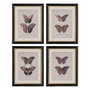 Cuadro Impresión Mariposas 4/M 31 X 1,80 X 39 cm (Set de 4)