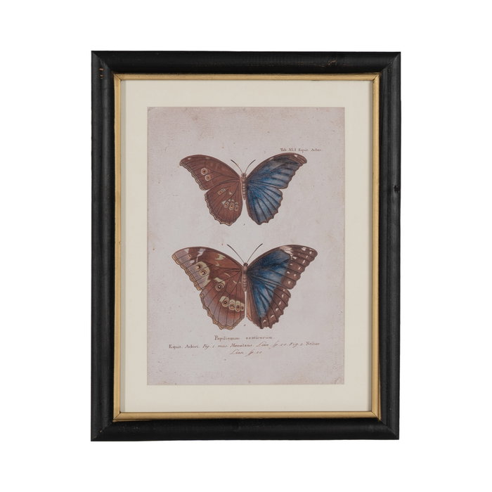 Cuadro Impresión Mariposas 4/M 31 X 1,80 X 39 cm (Set de 4)