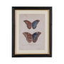 Cuadro Impresión Mariposas 4/M 31 X 1,80 X 39 cm (Set de 4)