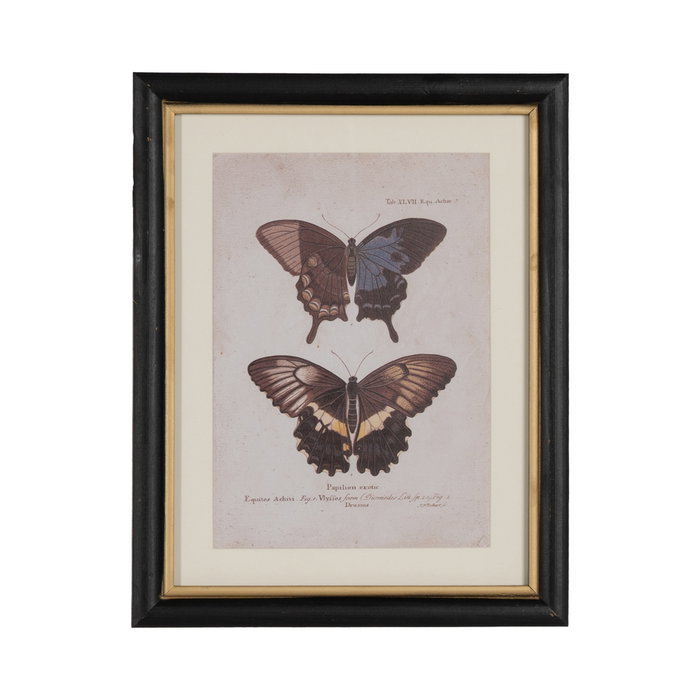 Cuadro Impresión Mariposas 4/M 31 X 1,80 X 39 cm (Set de 4)