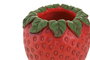 DKD Home Decor Jarrón de Cemento Fresa Rojo y Verde