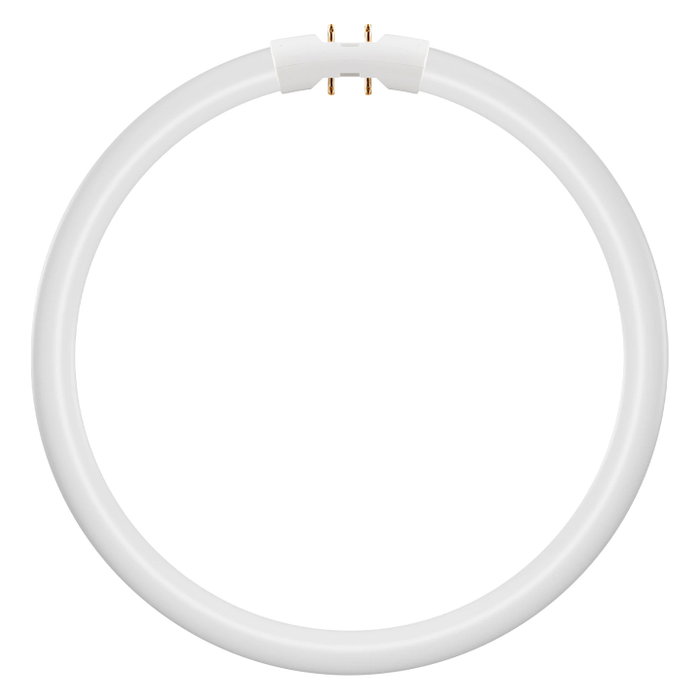 Osram LED Circular Lamp T5 FC40/55 P 21,5W 830 2GX13