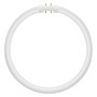 Osram LED Circular Lamp T5 FC40/55 P 21,5W 830 2GX13