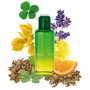 Mandarina Duck The Mandariners For Him Eau de Toilette 100 ml