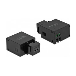 DeLOCK Módulo Keystone USB Type-C™ Puerto de carga 2,1 A Negro